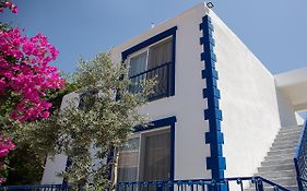 Zeytin Dalı Butik Selimiye (aegean)