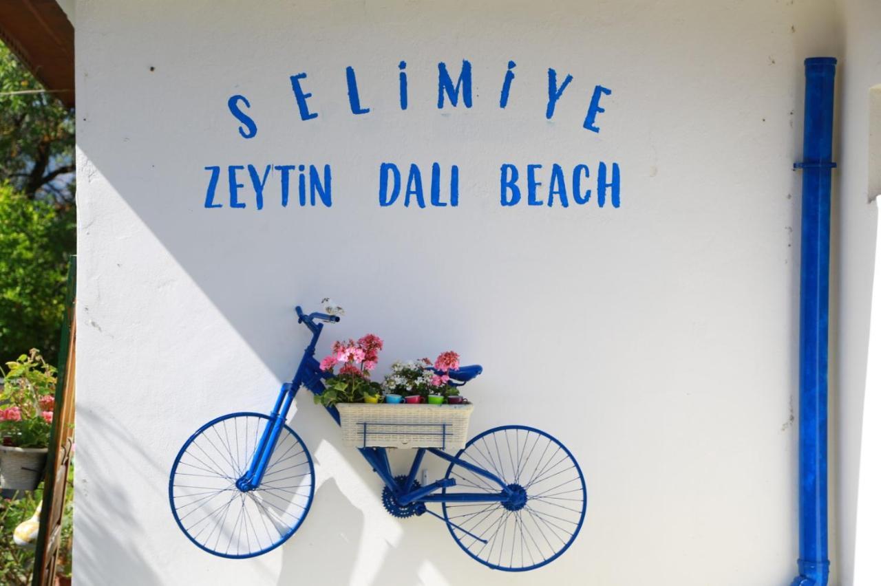 Zeytin Dalı Butik Otel Selimiye  Dış mekan fotoğraf
